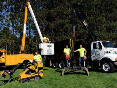 Tree Service