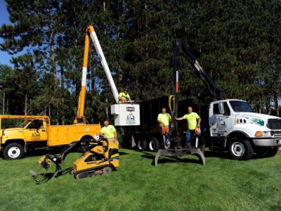 Tree Service